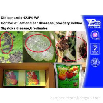 76674-21-0 Systemic Fungicides , Diniconazole 12.5% Wp Fung